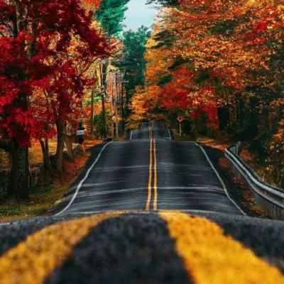 Bob体育登录入口APP下载