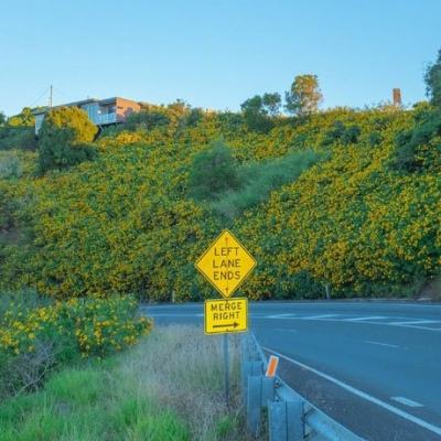 火狐官方网站下载手机版