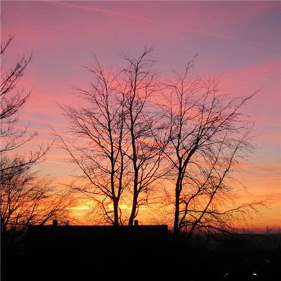 365be体育官方网站