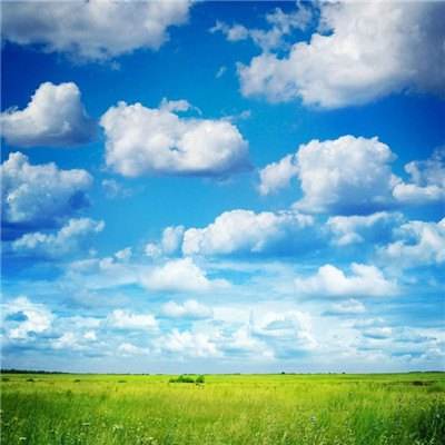 狗万官网app下载